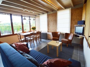 تلفزيون، مشغل دي في دي، ستيريو