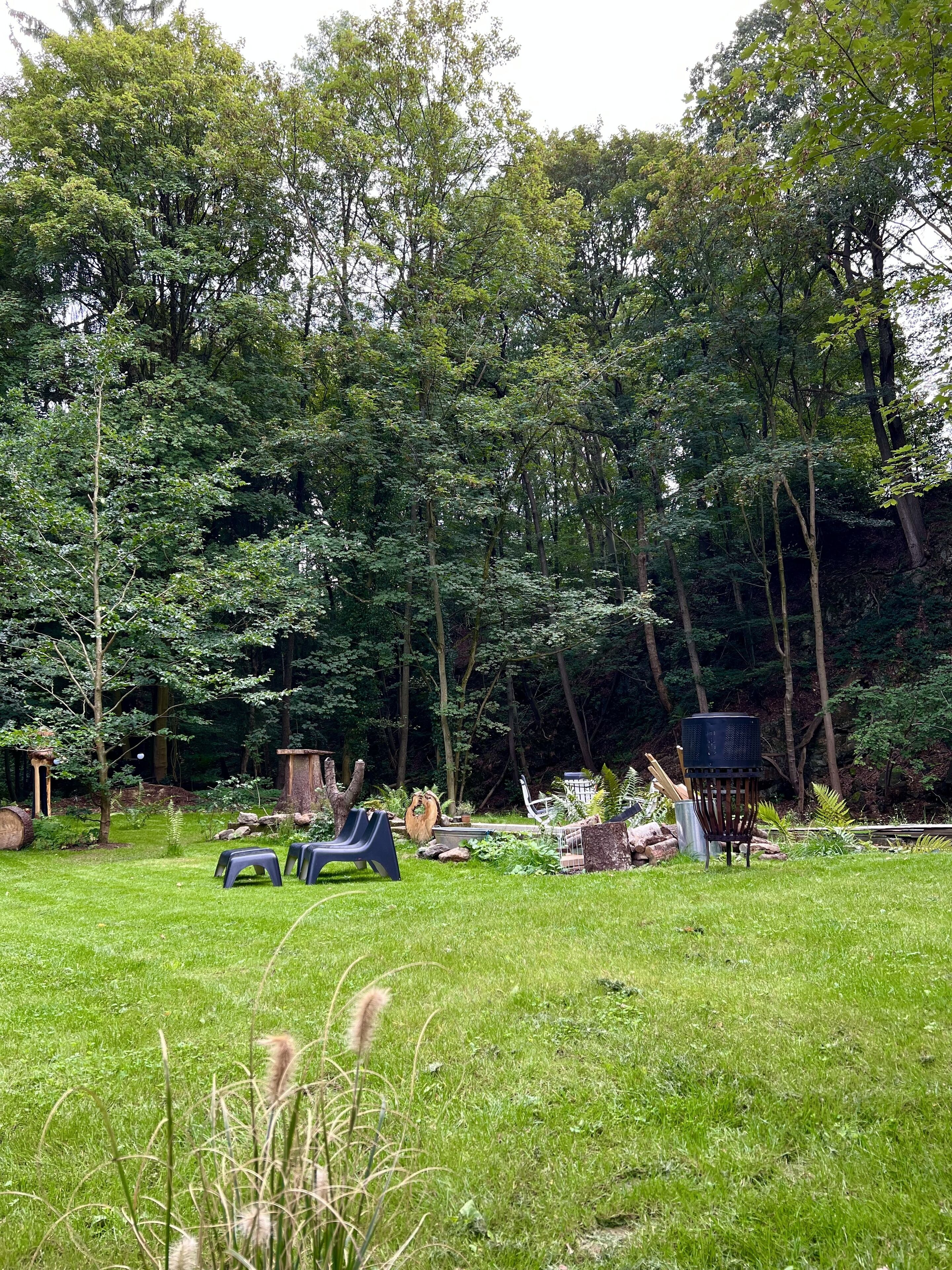 Een weelderige tuin met verschillende bomen, een klein vijvertje en tuinmeubilair.