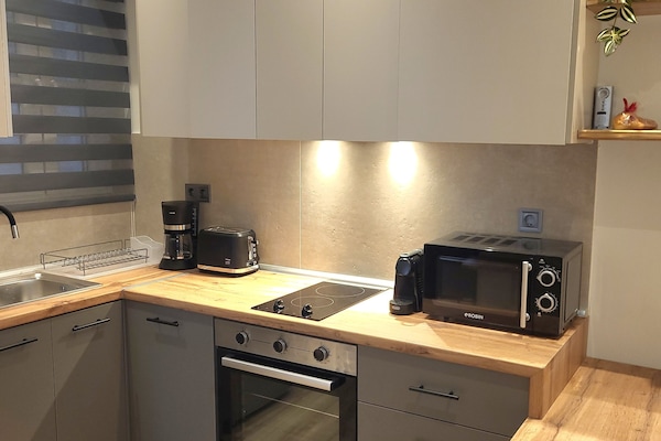 Deluxe Apartment | Private kitchen | Full-size fridge, microwave, oven, stovetop