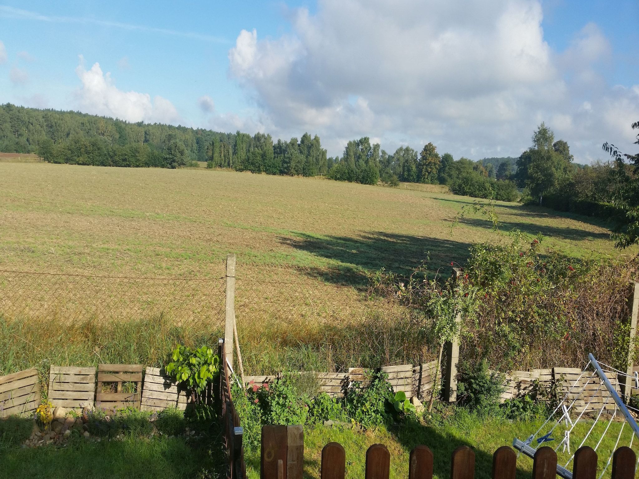 A rural landscape with a fenced field, a wooden fence, and a clear sky.