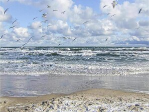 Plage à proximité