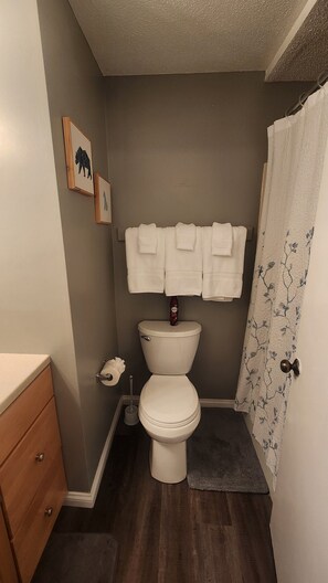 Toallas, jabón, shampoo, papel higiénico