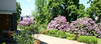 Comfort Near Oberwiesenthal