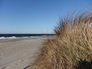 Plage à proximité