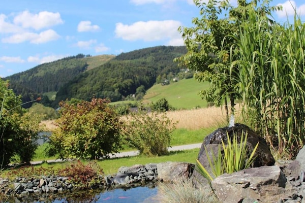 Àrea exterior de l'allotjament