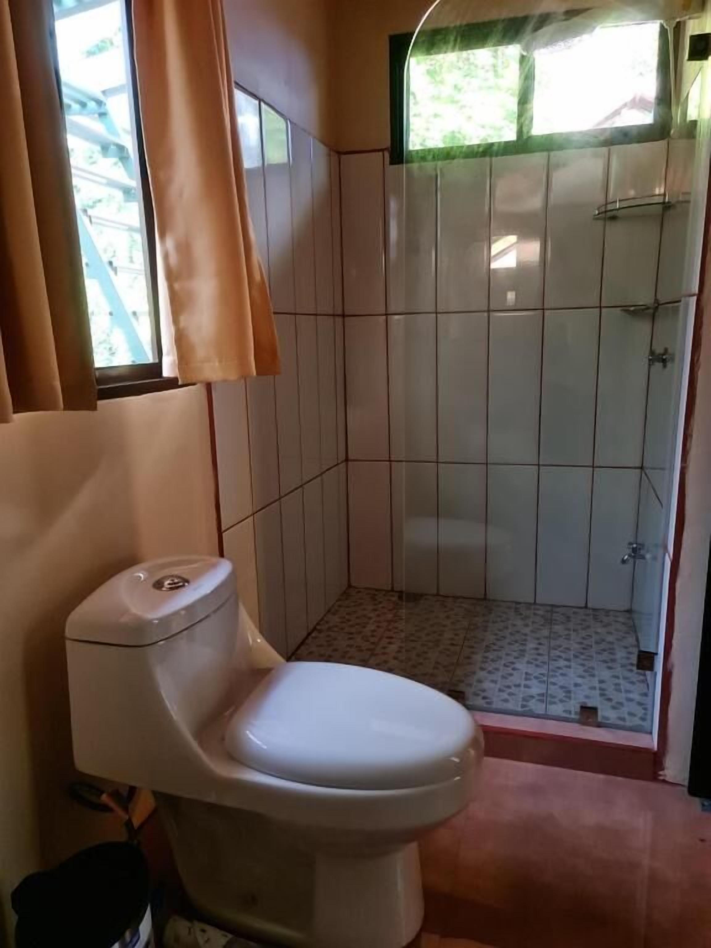 A bathroom with a toilet, a shower, and a window with curtains.