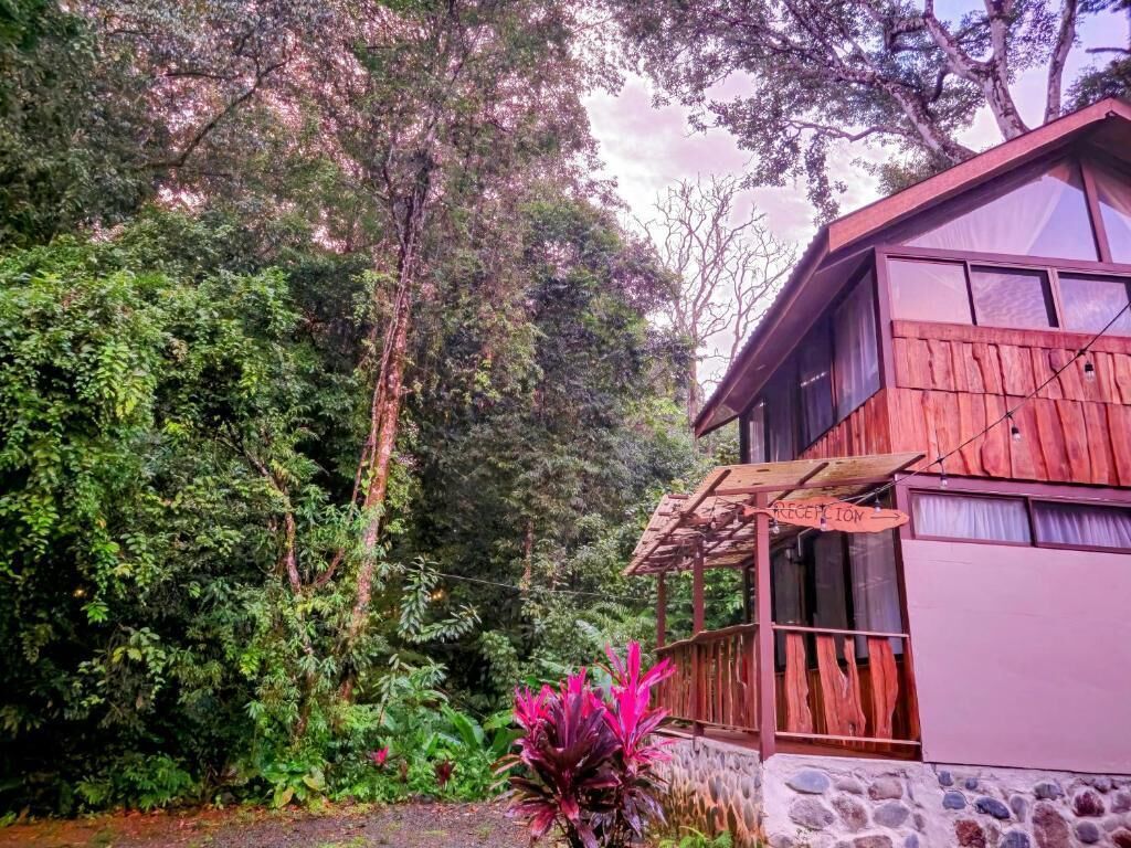 Edifici de fusta rústic amb un balcó, envoltat de vegetació tropical densa.