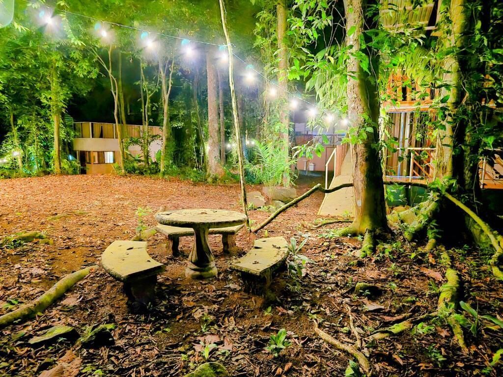 An outdoor area with a round table and benches surrounded by trees and foliage.