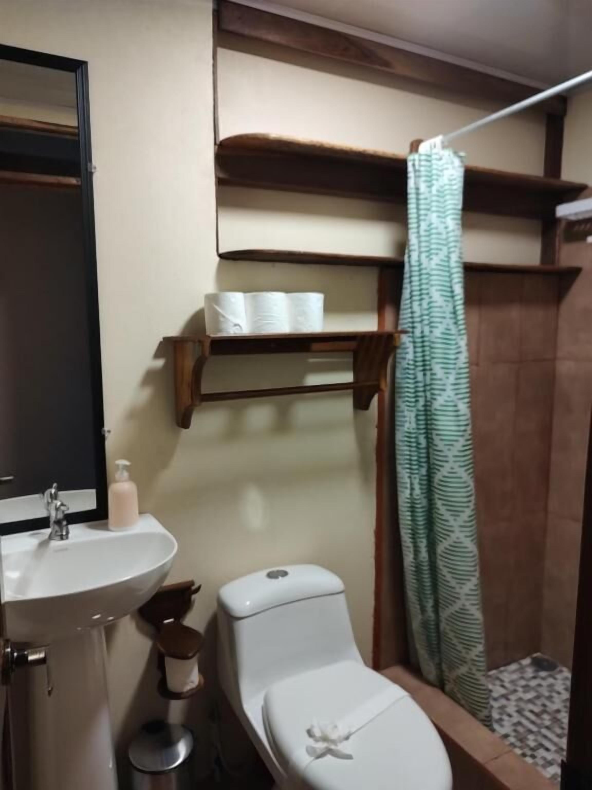 A bathroom with a sink, toilet, and shower curtain.