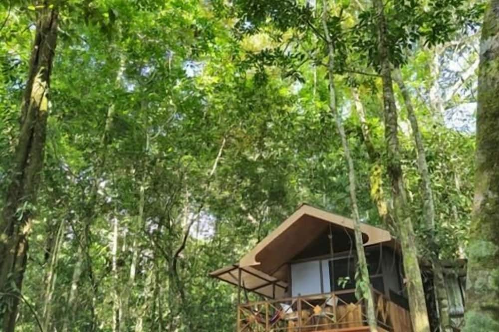 Cool Waters Jungle Villas