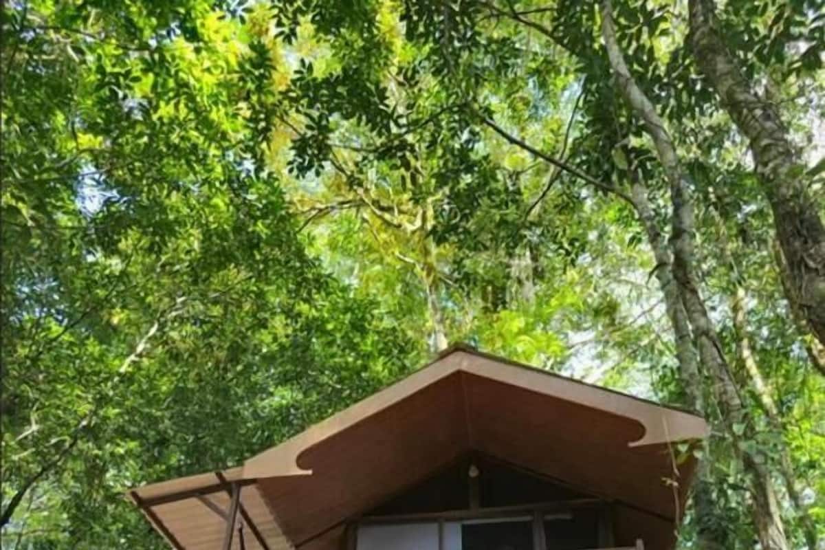 Une cabane en bois dotée d’un balcon, entourée d’une forêt dense.