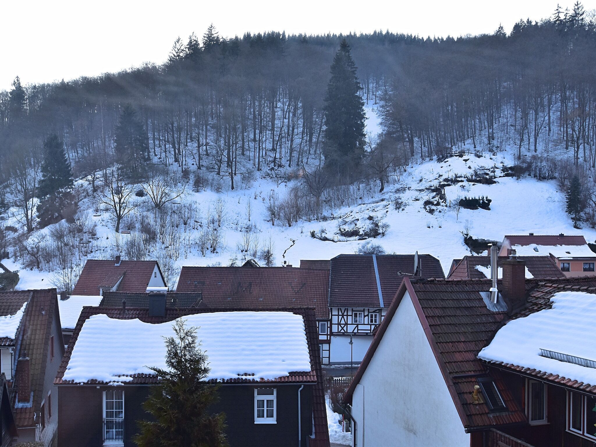 View from Holiday Home [winter]