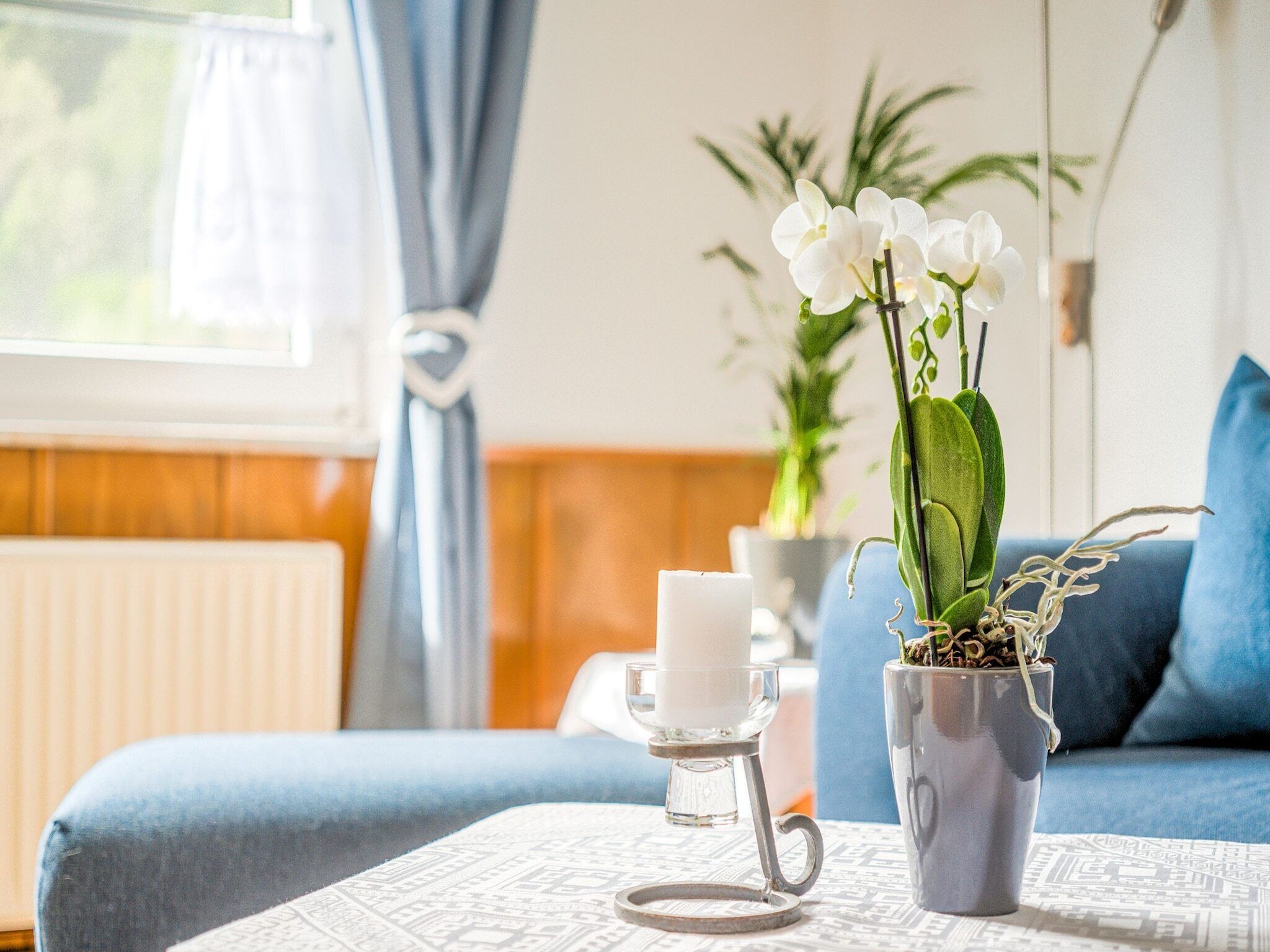 A room with a blue sofa, a white candle, and a potted orchid on a table.