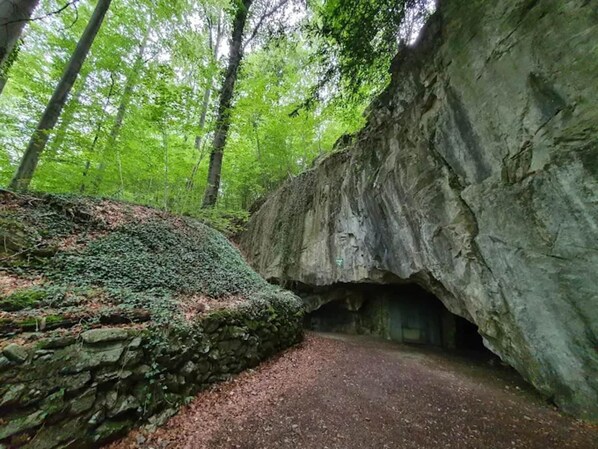 المنطقة المحيطة بالمنشأة