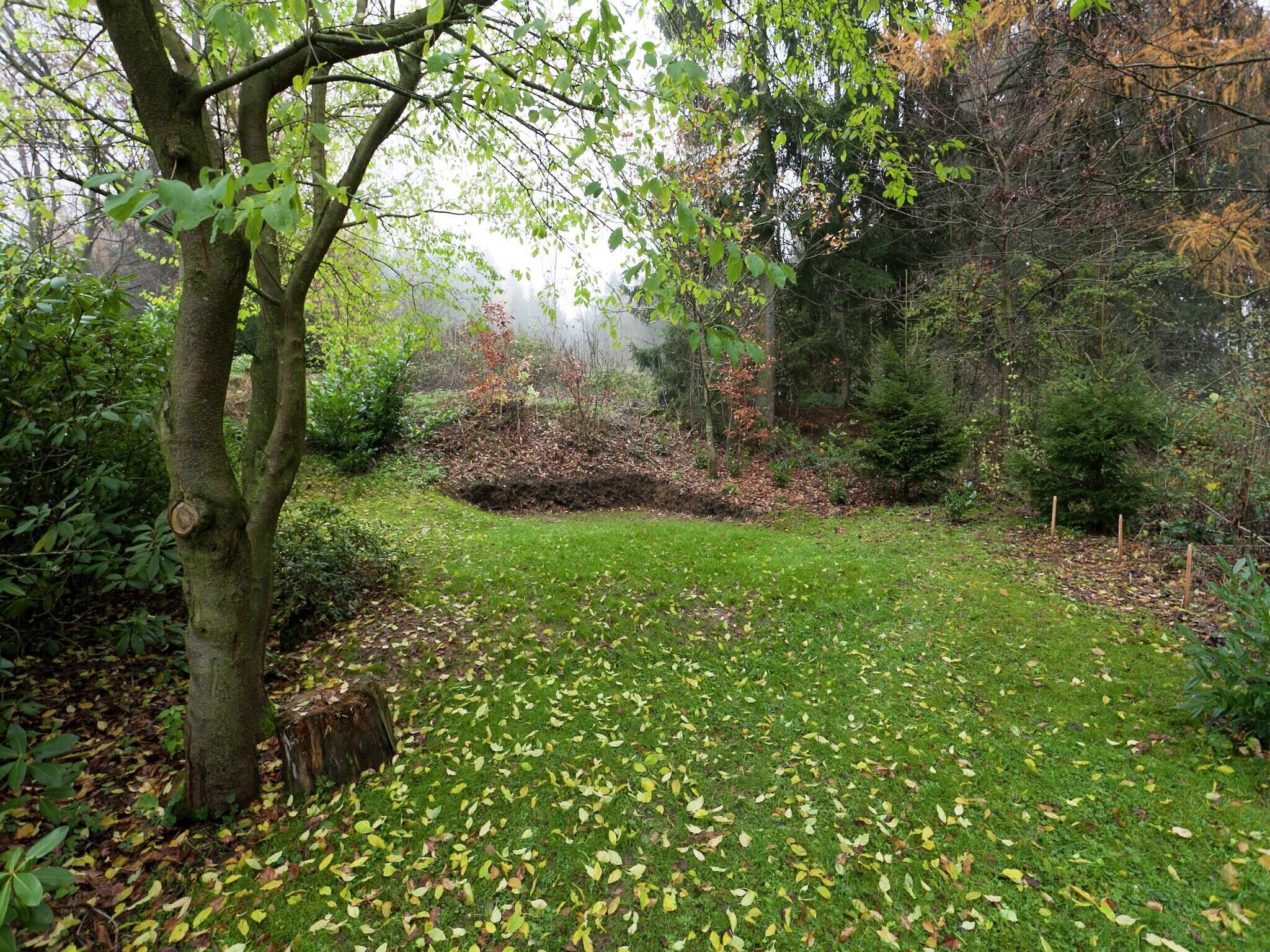 A forested area with a grassy clearing, surrounded by trees and dense underbrush.