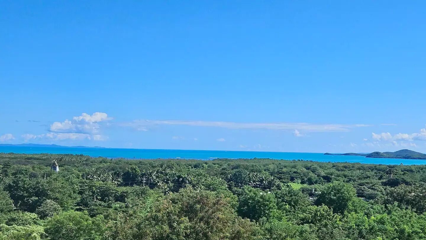 A tropical landscape with dense greenery and a clear blue sky.