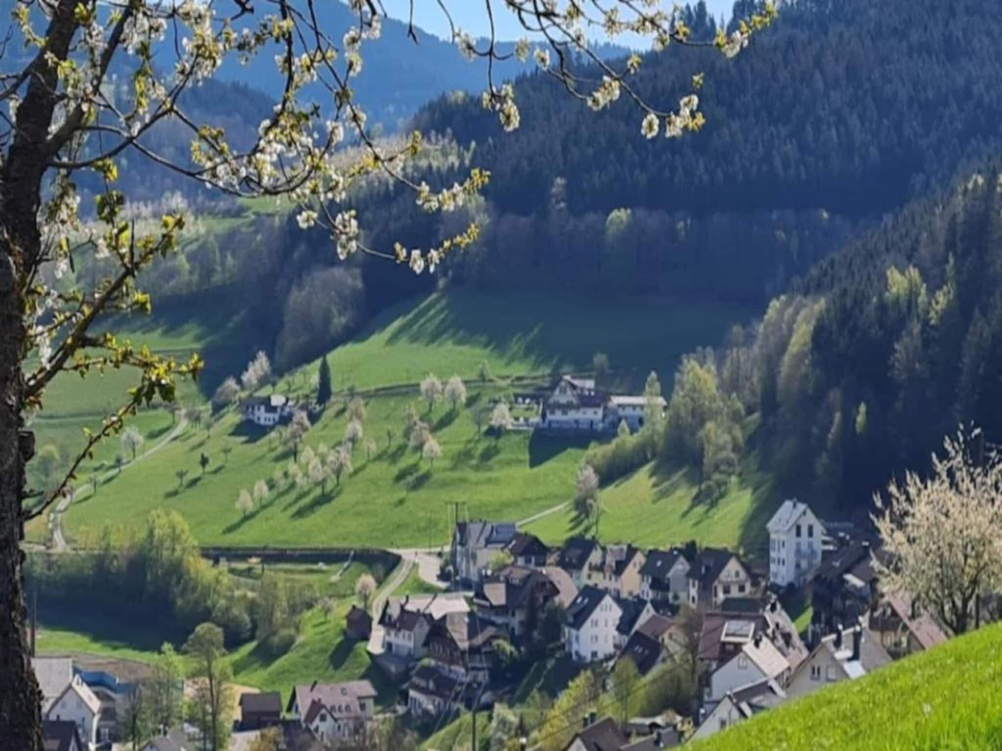 Een landelijk dorp met traditionele huizen, omgeven door groene velden en heuvels.