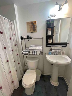 Shower, hair dryer, towels, soap - Fishtown/No-Liberties Perfect Retro Record Spot (Philadelphia)