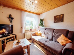 Televisión, chimenea y tenis de mesa 