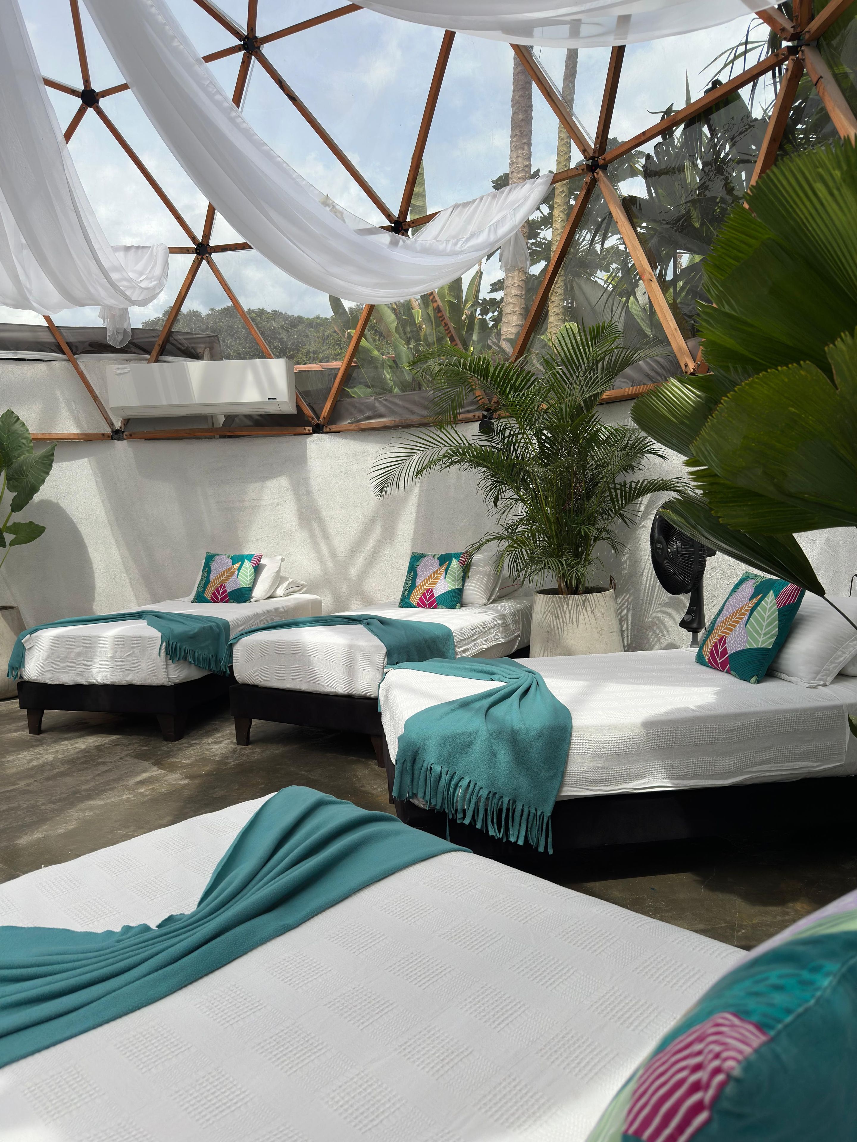 A room with a geometric ceiling structure, white bedding, teal throw pillows, and a large potted plant.
