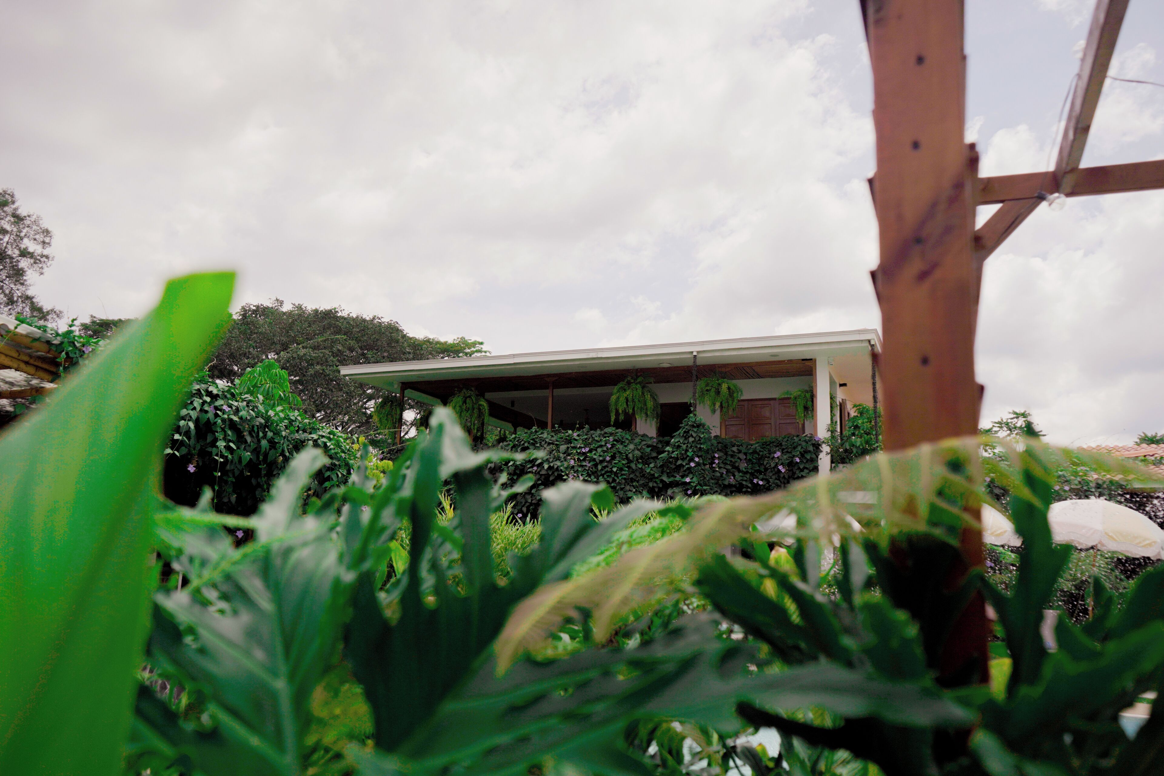 Foto - Cannatel Exclusive Hotel