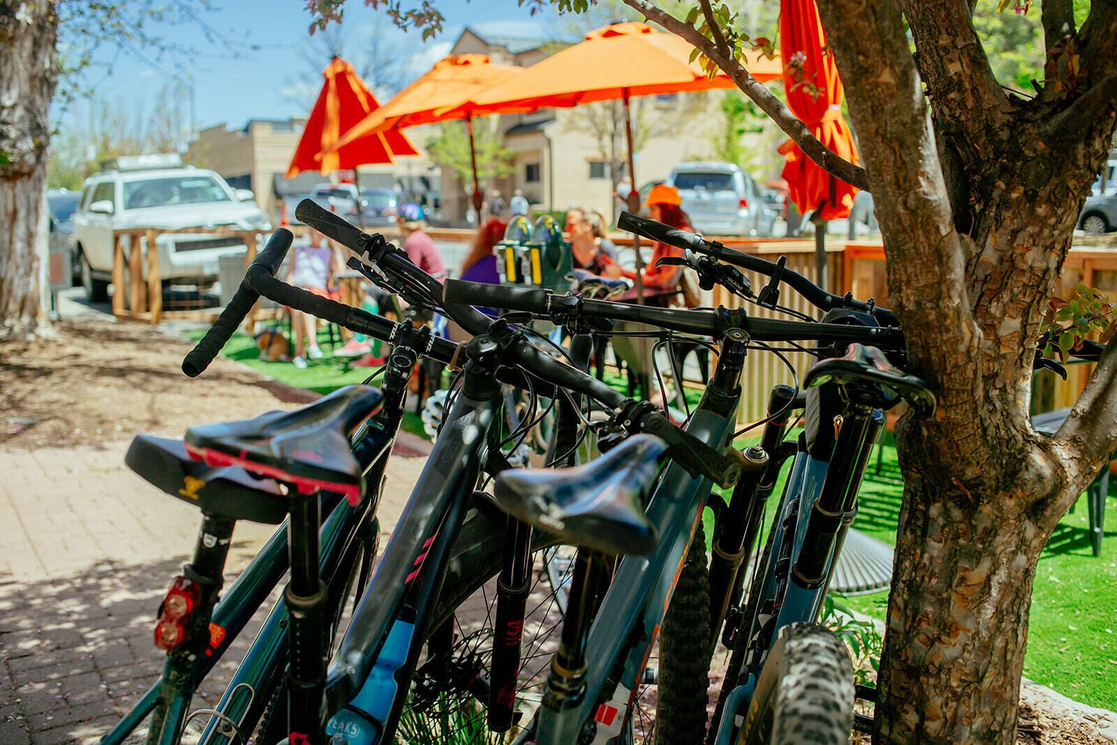 Bicycles parked against a tree in an outdoor setting with umbrellas and people in the background.