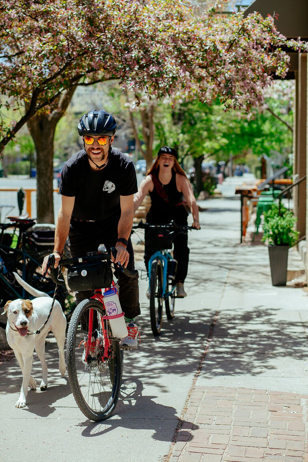 Una persona in sella a una bicicletta con un cane al guinzaglio, un altro ciclista sullo sfondo e un albero con fiori rosa.