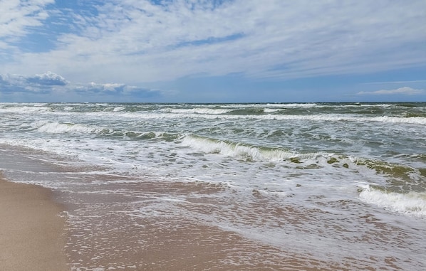 Playa en los alrededores 