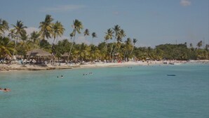 A beach with palm trees and a sandy shore. - Beautiful condo in La romana, DR with pool and walking distance to Caleta beach. (La Romana)