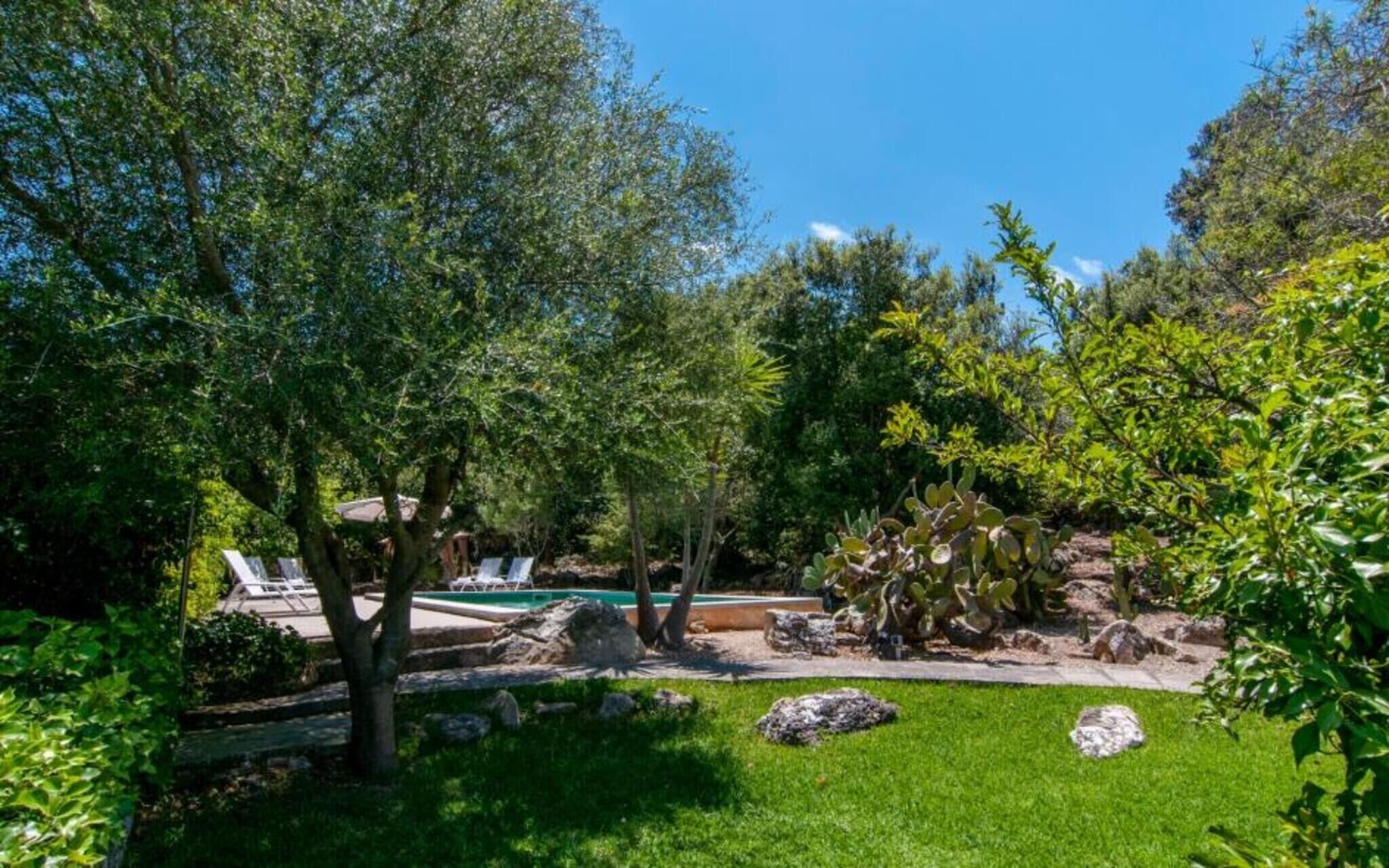 Un jardin avec une piscine, des arbres et une pelouse.