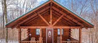 Bear Hugs cabin nestled in the woods.