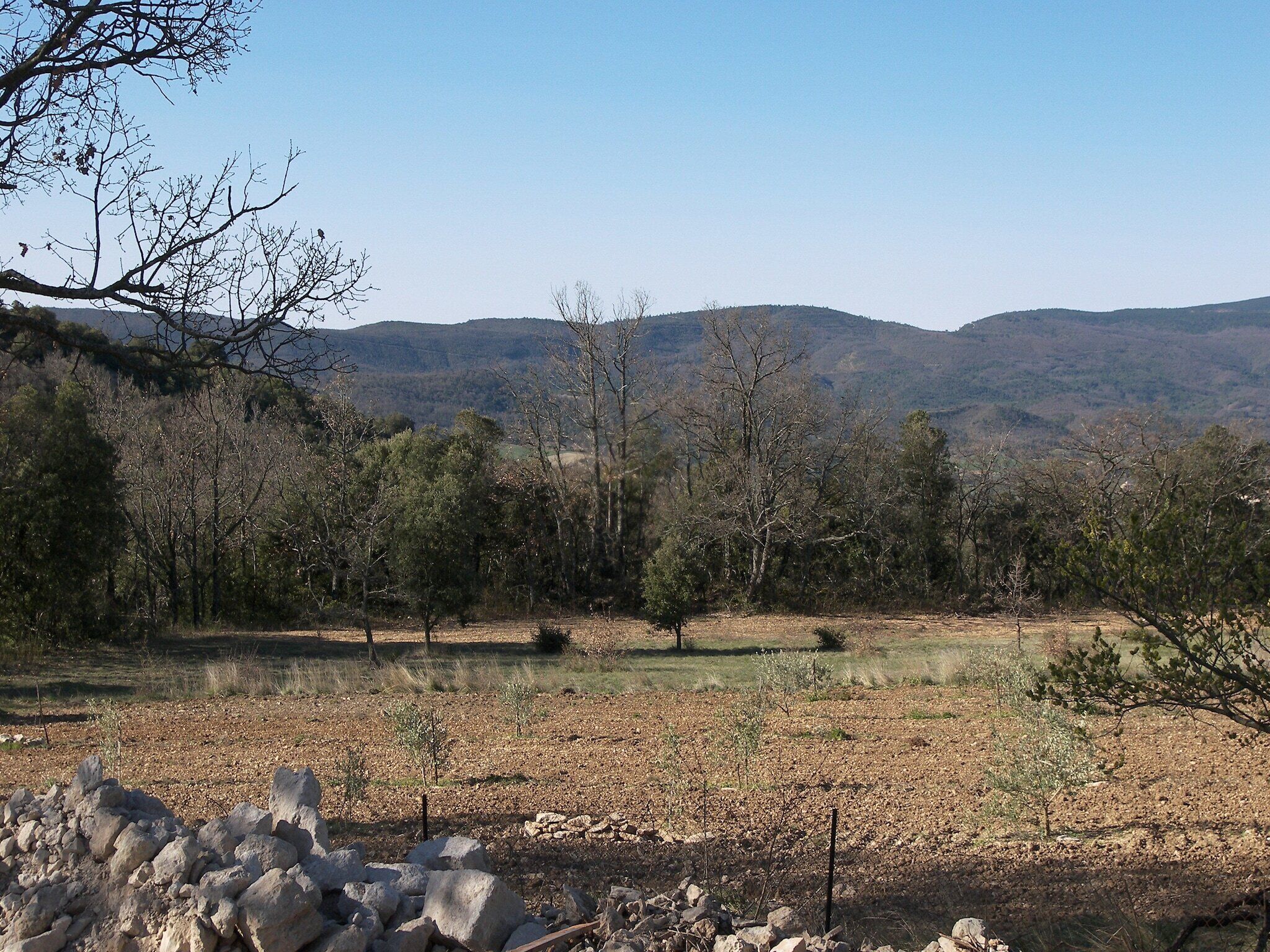 Un paisaje natural con cielo despejado, árboles y colinas distantes.