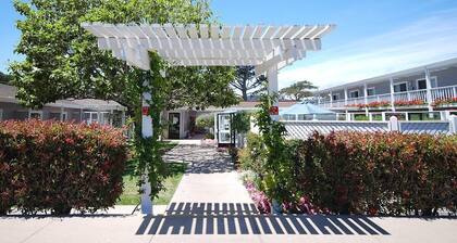 Cozy Double Queen Room at Ocean-Side Property!