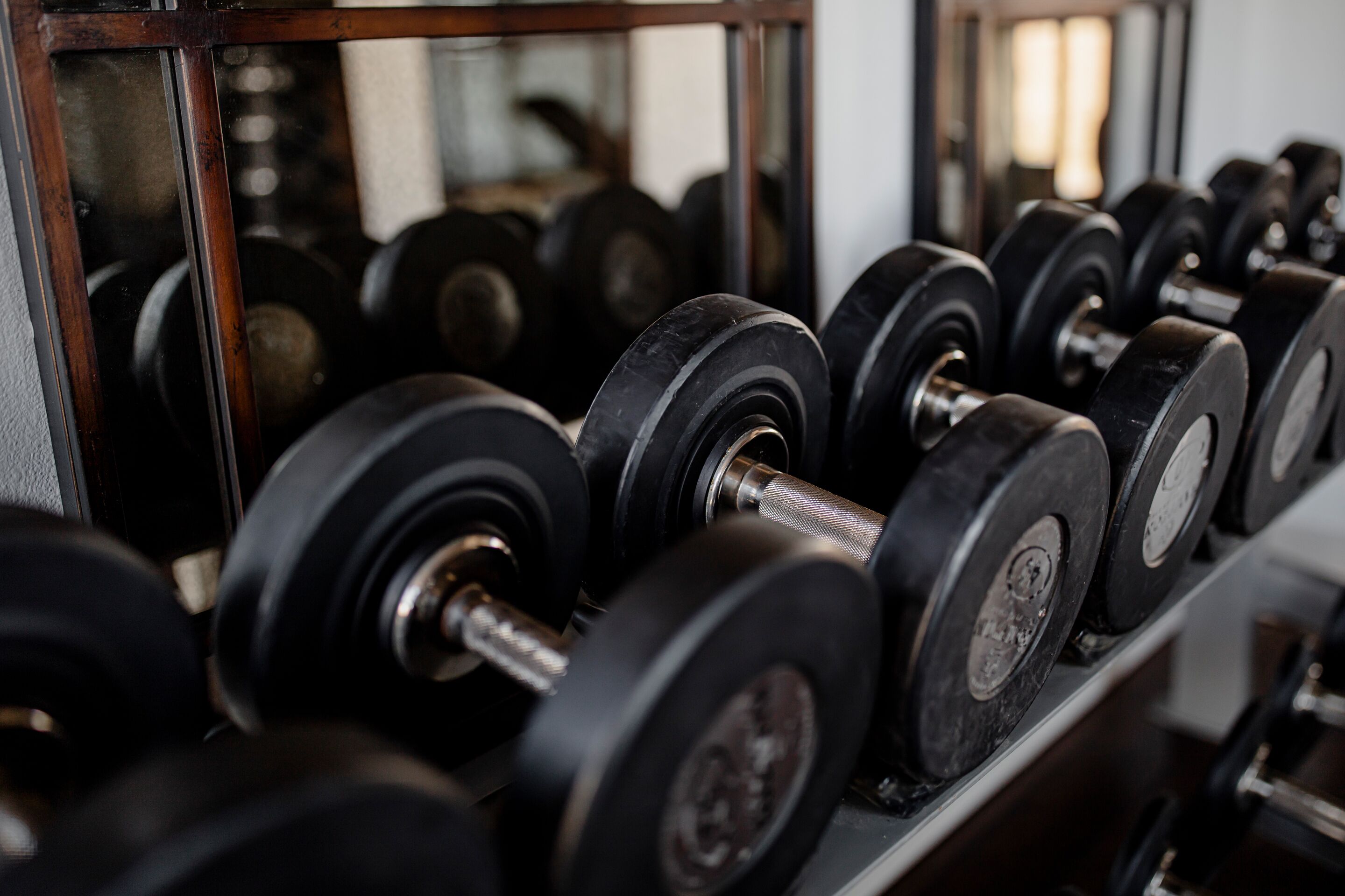 A row of black dumbbells on a rack in a gym.