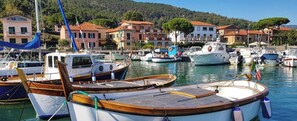 Marina - Villetta “Vanda” near Cinque Terre with garden, barbecue, orchard and private covered parking (Arcola)