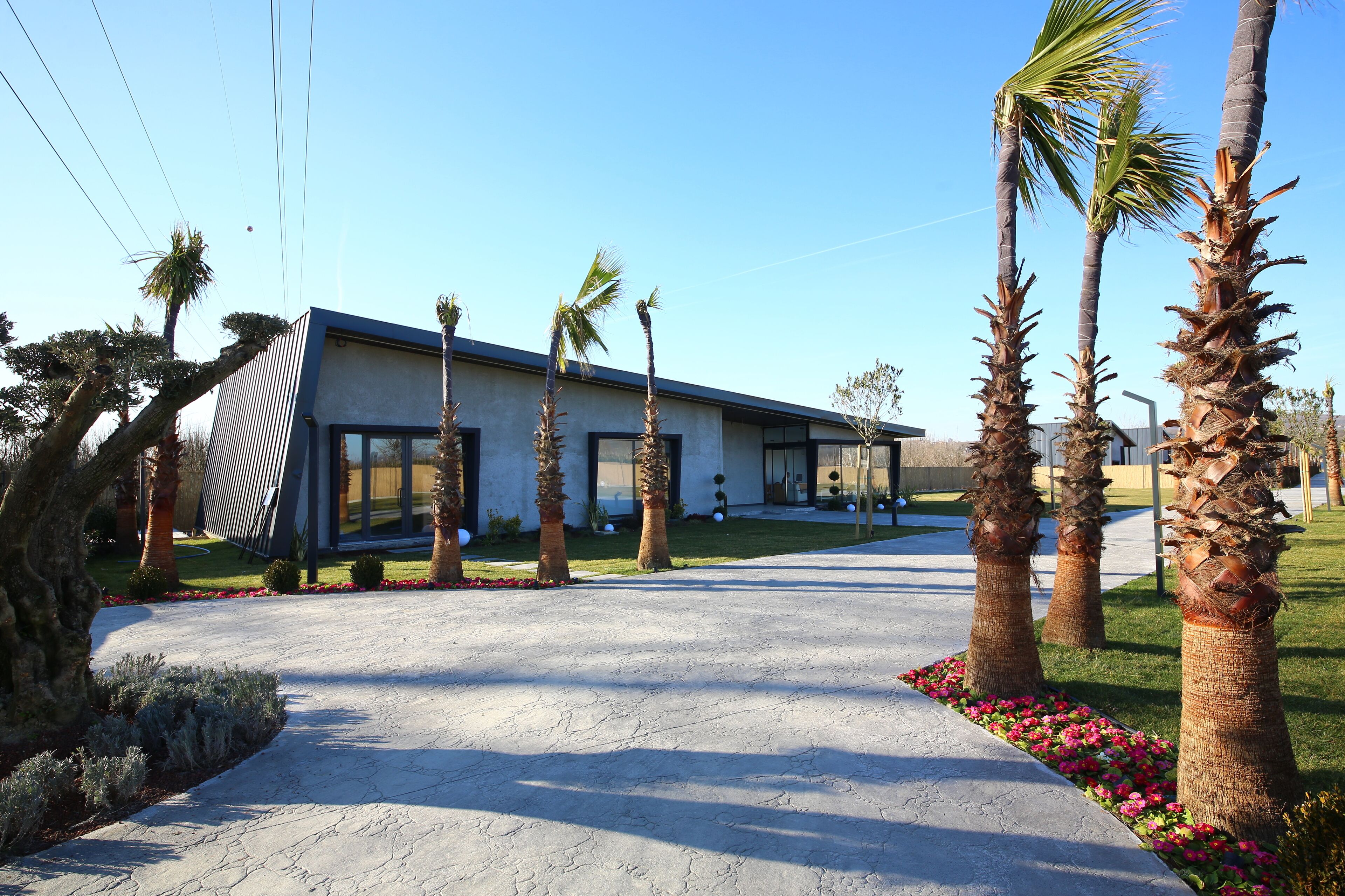 A modern building with a concrete driveway, palm trees, and a well-maintained lawn.
