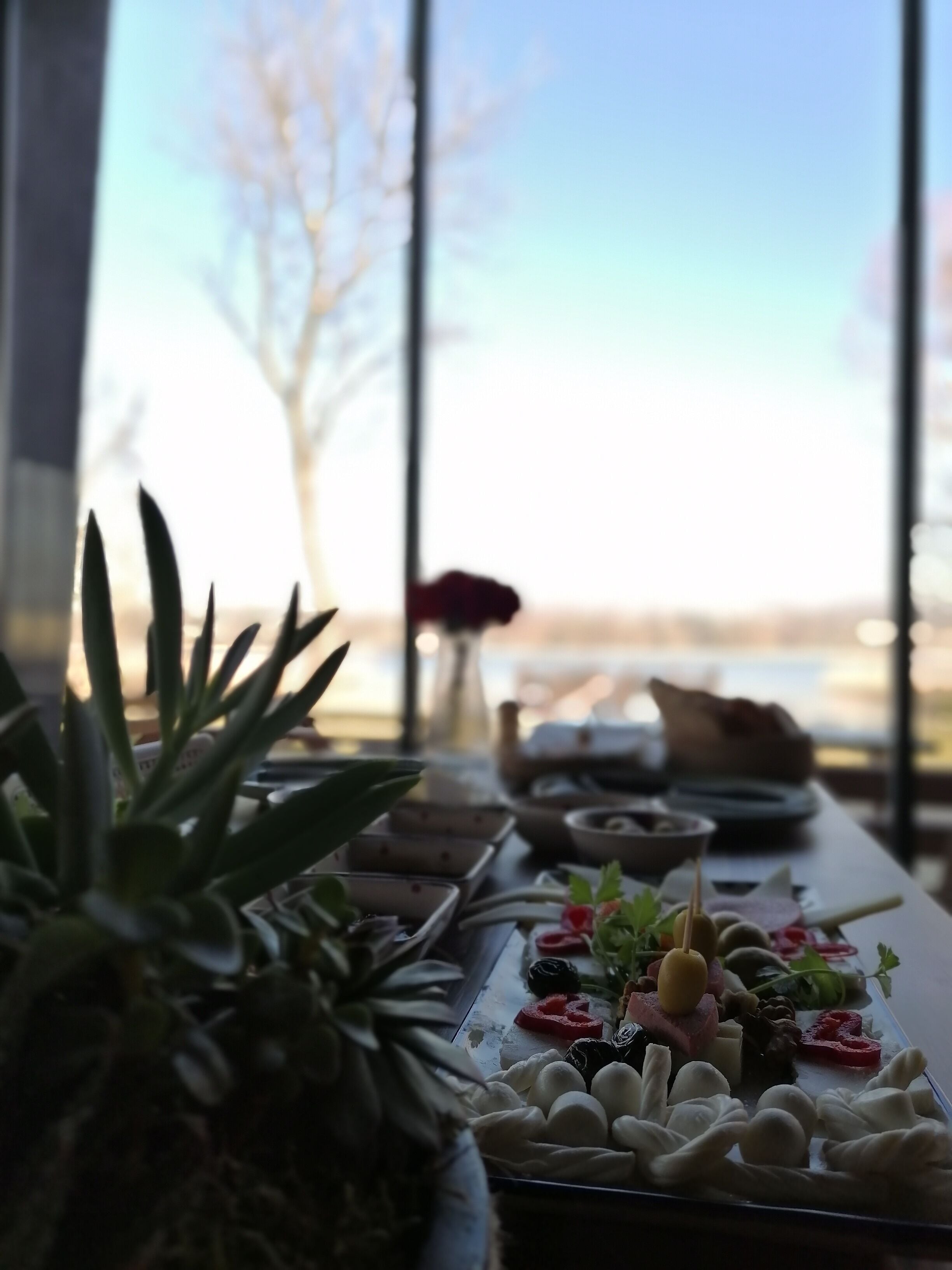 Una mesa con diversos alimentos y una planta en maceta, con vistas a árboles y un cielo despejado al fondo.