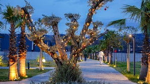 A tree decorated with lights and ornaments, surrounded by palm trees and a pathway. - Vital Göl (Sapanca)