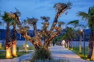 Un arbre décoré de guirlandes lumineuses et d’ornements, entouré de palmiers et bordé d’un sentier.