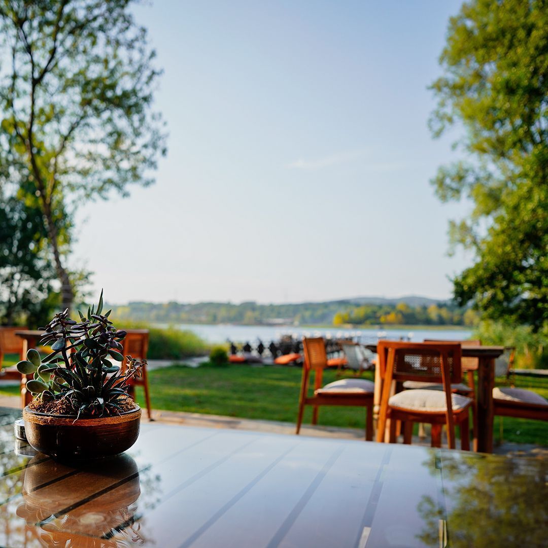 A wooden table with a potted plant in the foreground, outdoor seating with chairs and cushions, and a view of a lake and distant hills.