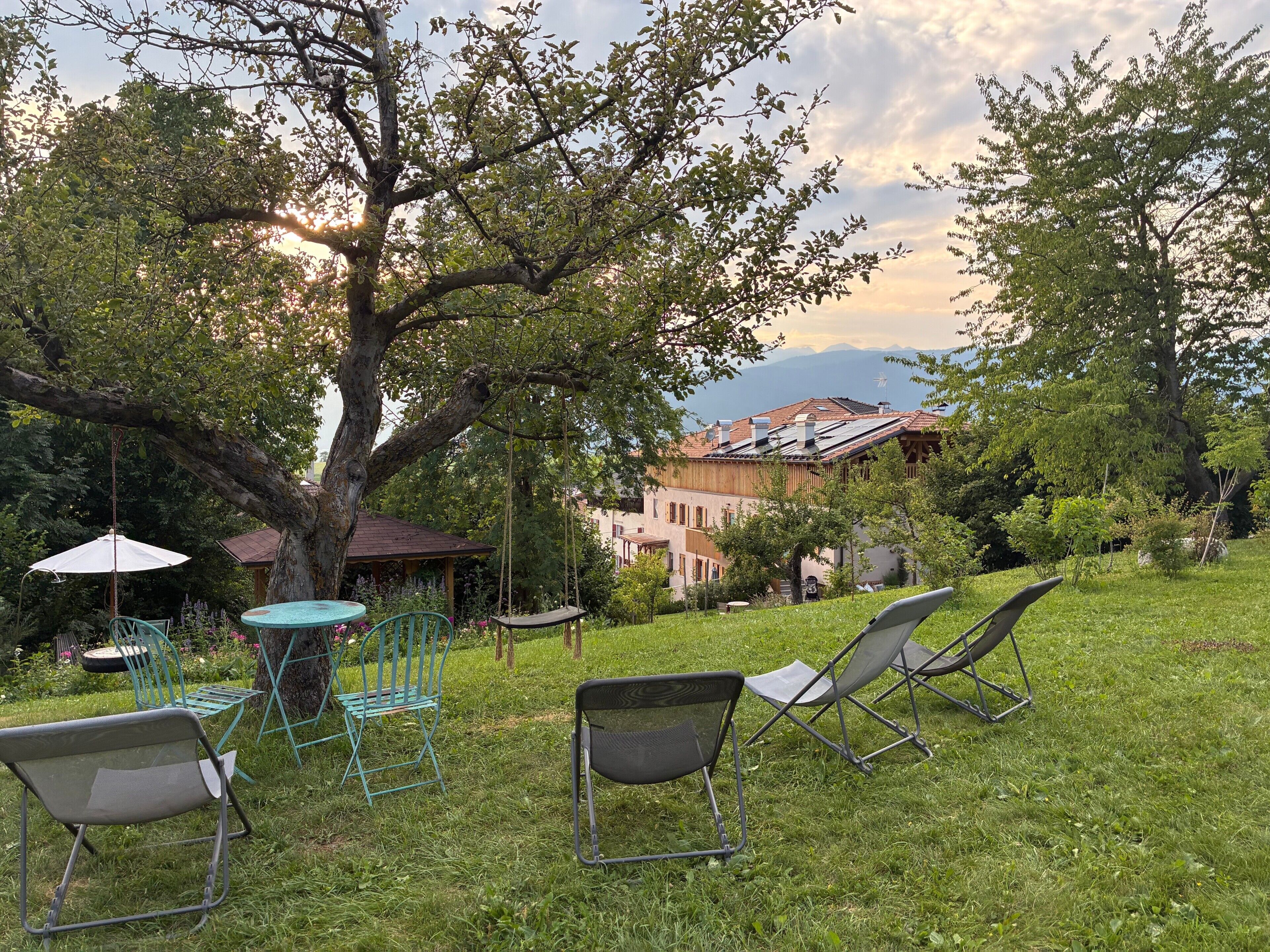 A grassy outdoor area with a swing, chairs, and a table under a tree.