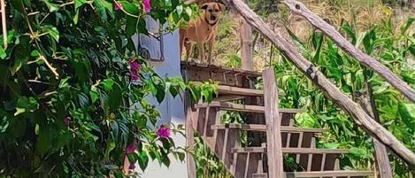 Facciata della struttura