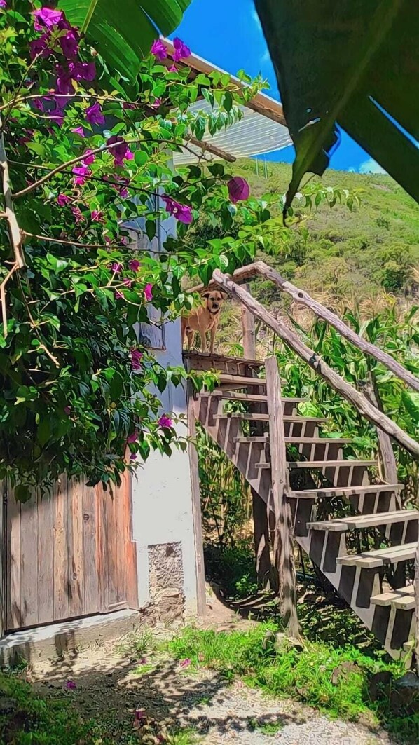 Fachada de la propiedad