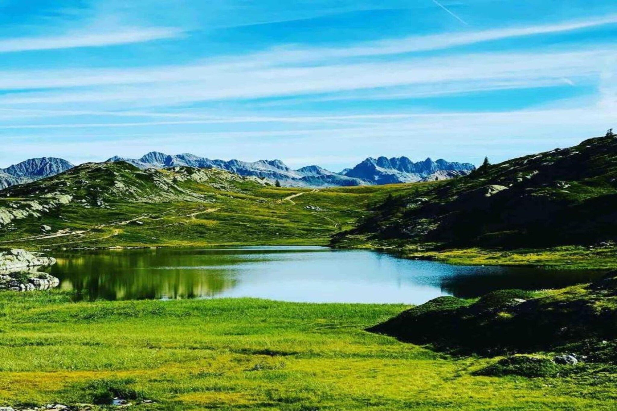Region [summer] (>5 km)