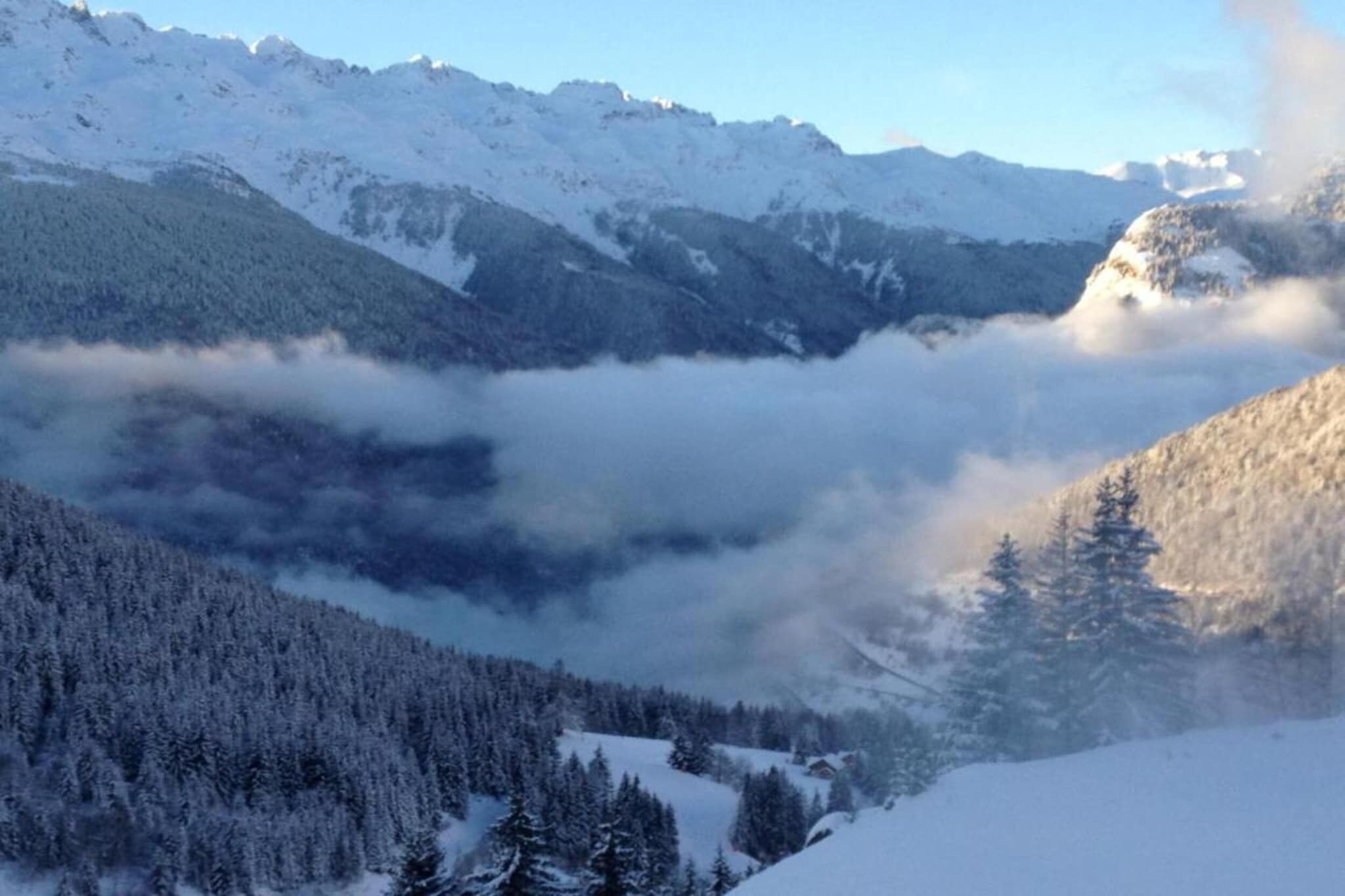 Paesaggio montuoso con alberi innevati e una valle.