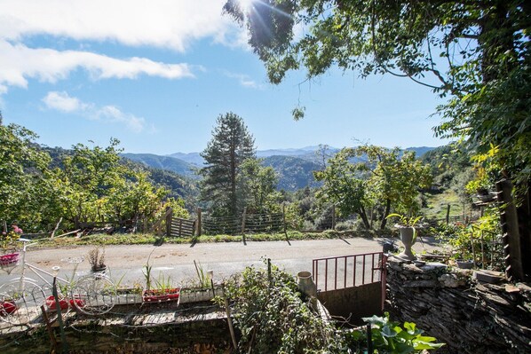 Property grounds - Cevennes Stone Retreat (Saint Germain de Calberte)