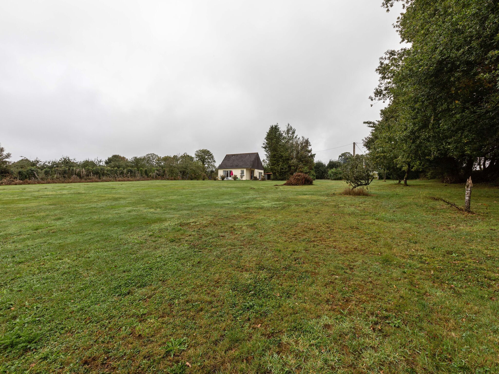 Un paysage rural avec une maison, des champs ouverts et des arbres.