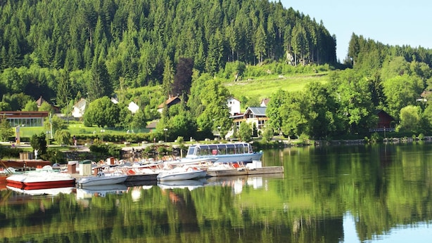 A lakeside view with boats docked, houses, and a forested hill in the background. - Holiday Home in Vosges with Garden and BBQ (Le Haut-Du-Them)