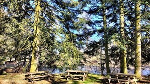 A forested area with picnic tables and a lake in the background. - Holiday Home in Vosges with Garden and BBQ (Le Haut-Du-Them)