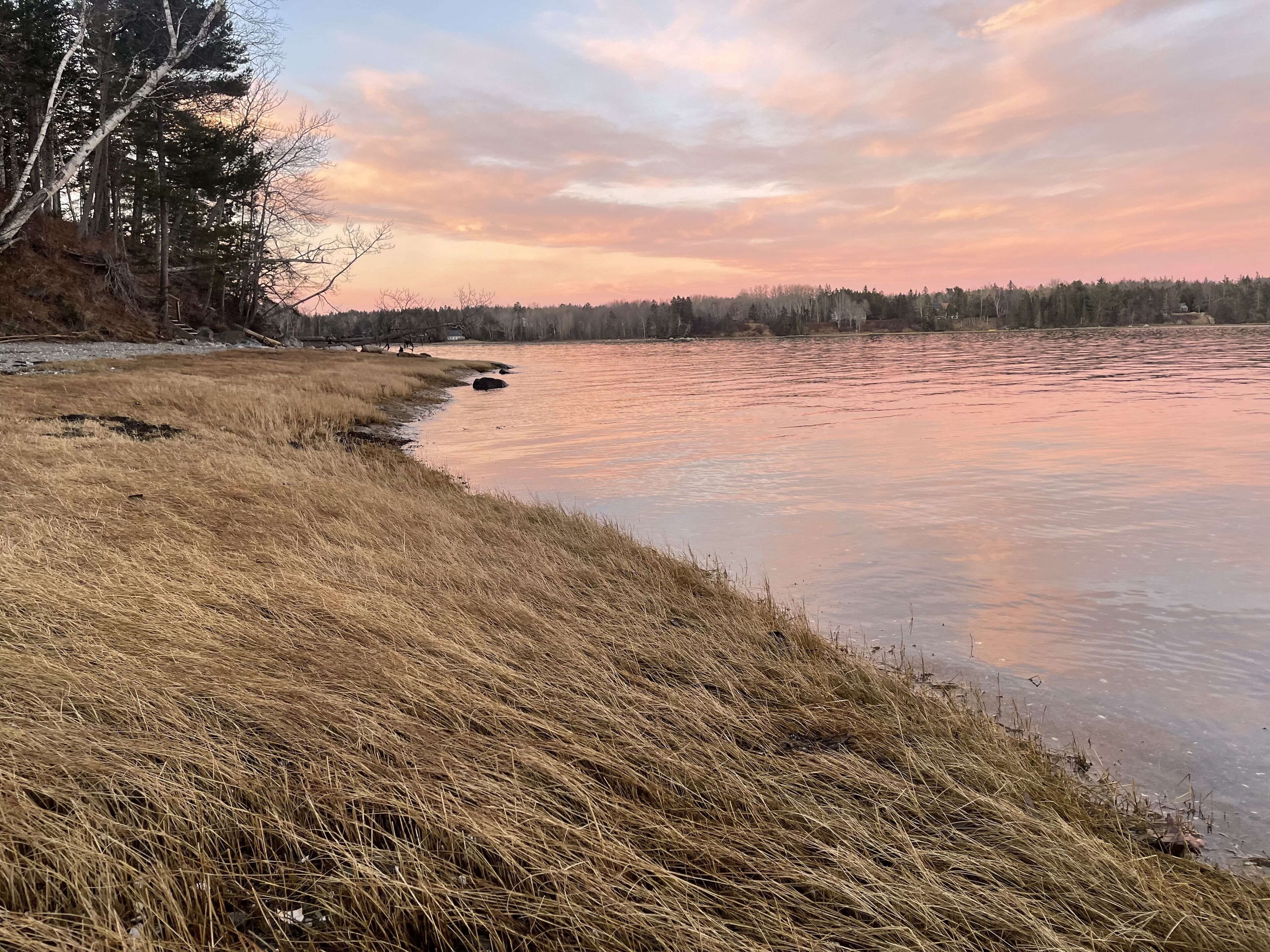 New Listing! Acadia Waterfront with Balcony Near Acadia and Bar Harbor